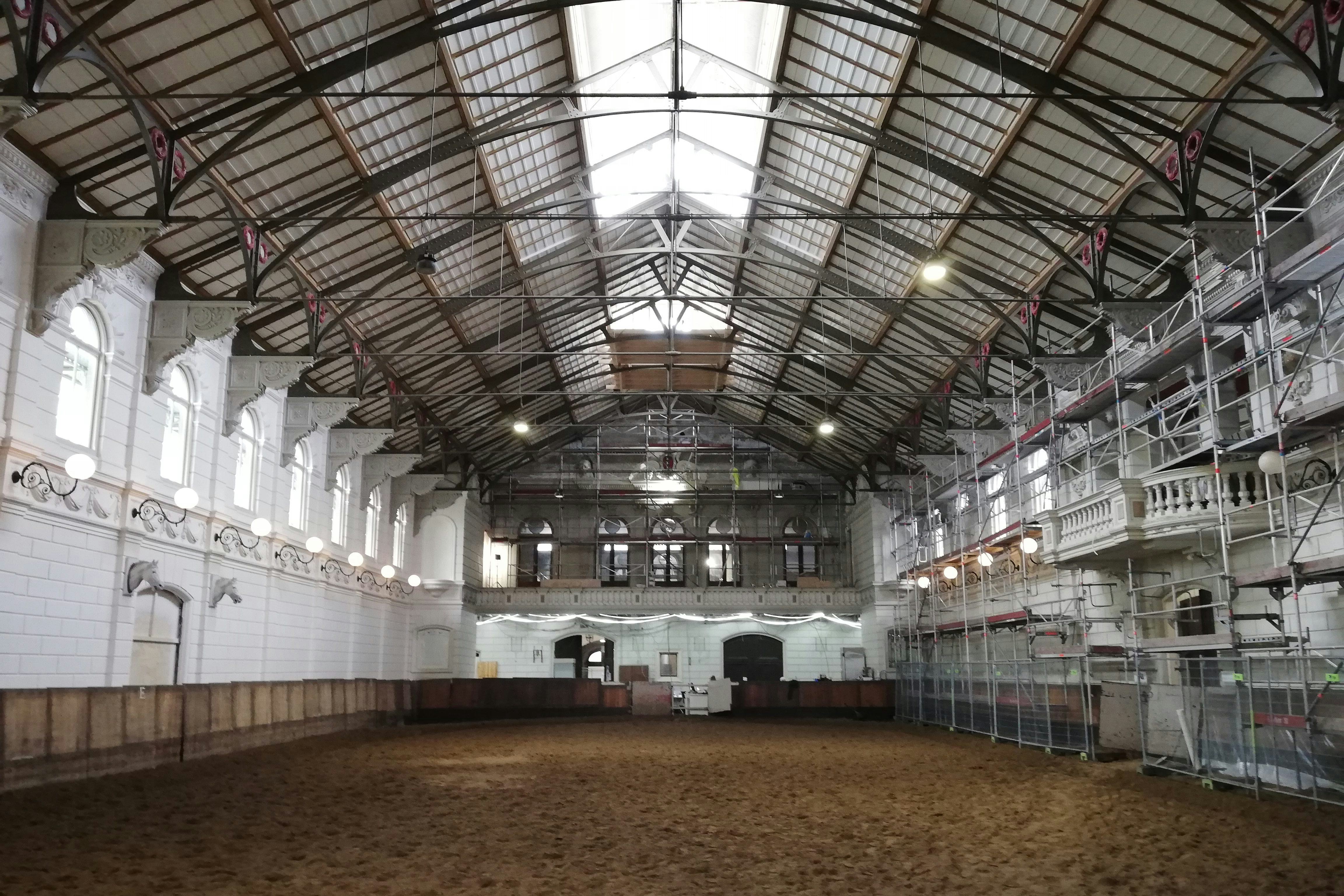 Nieuwsgierige paarden volgen renovatie Hollandsche Manege