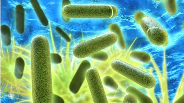 Alles over Legionella