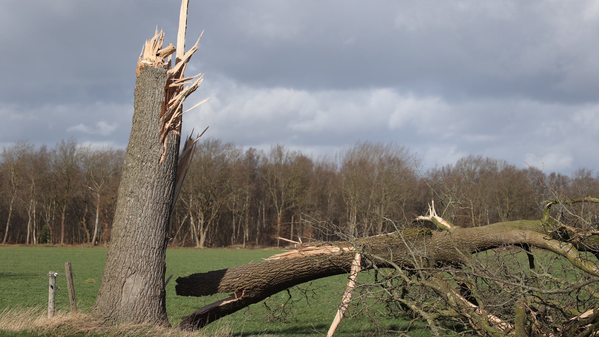 Stormschade in Drenthe door storm Eunice, foto Ronald Wilfred Jansen