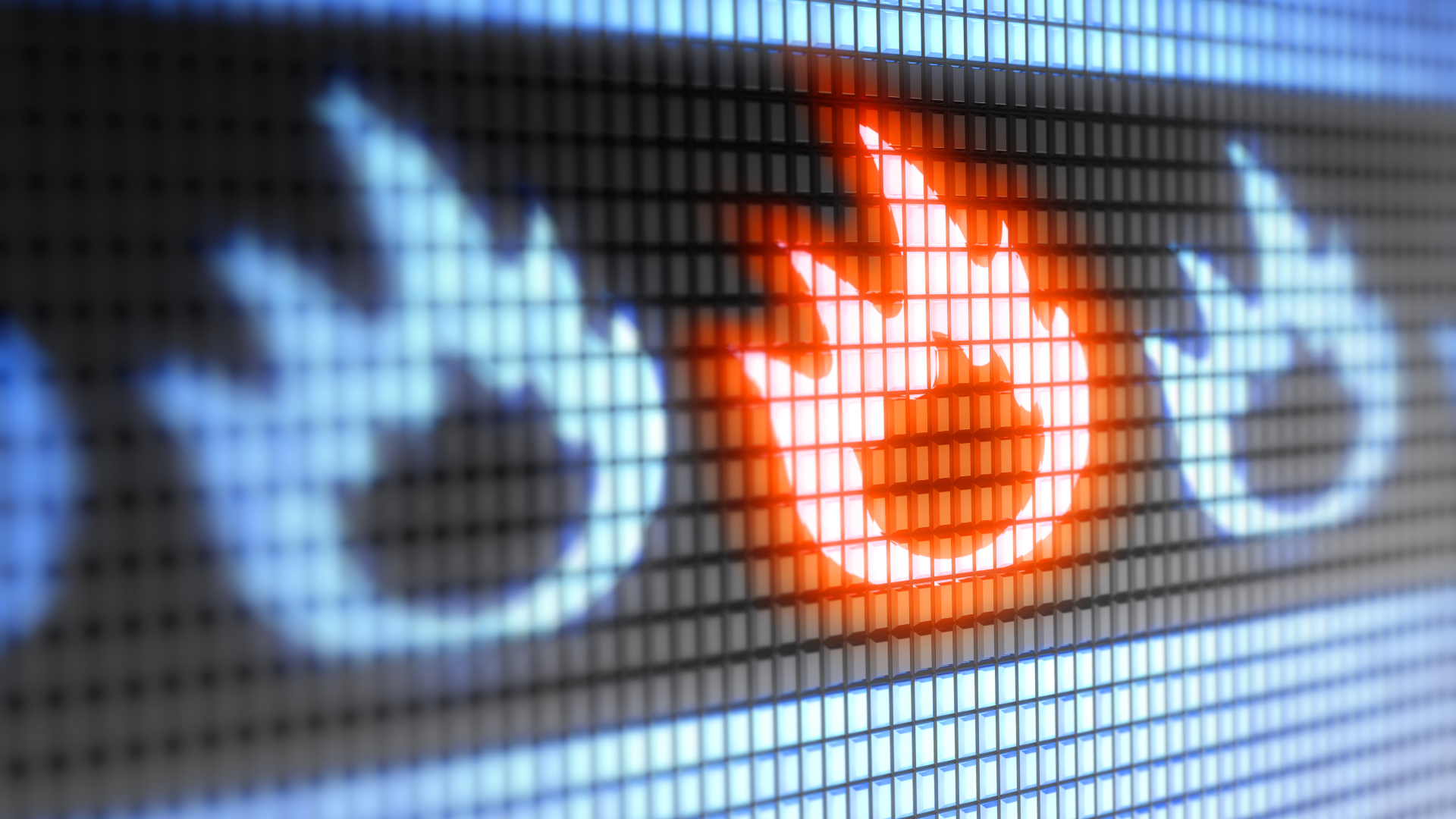 Beeld: Pavel Ignatov/Shutterstock.com