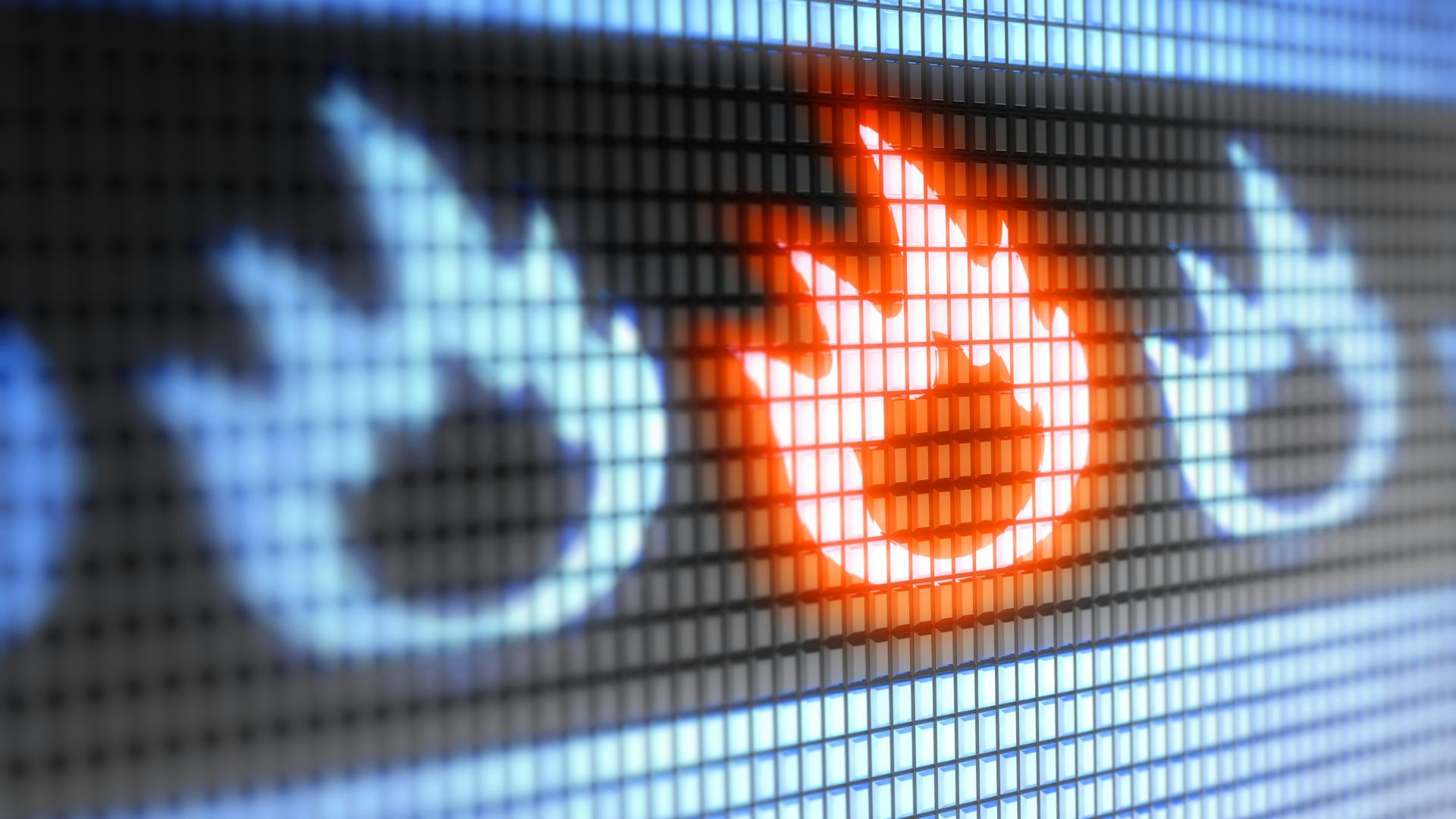 Beeld: Pavel Ignatov/Shutterstock.com