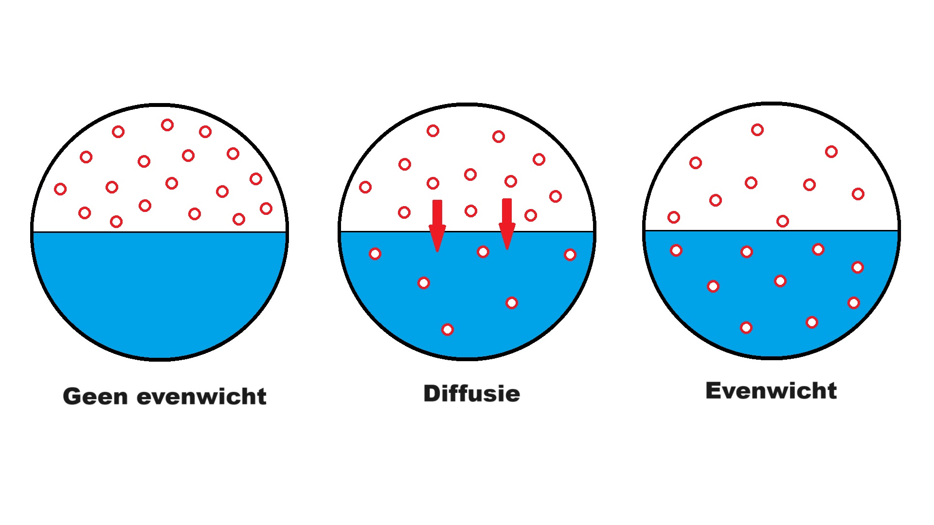Wet van Henry - afbeelding ©Gawalo