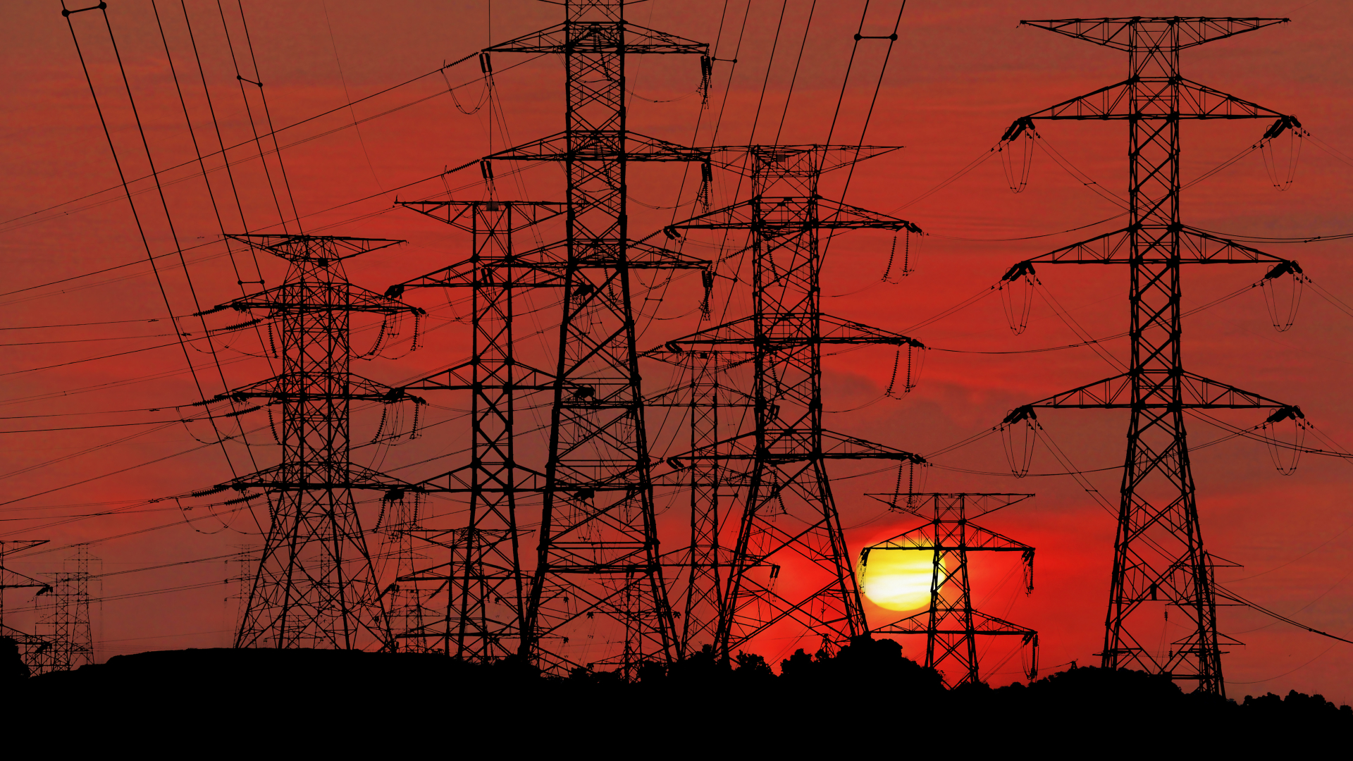 Beeld: Gwoeii/Shutterstock.com