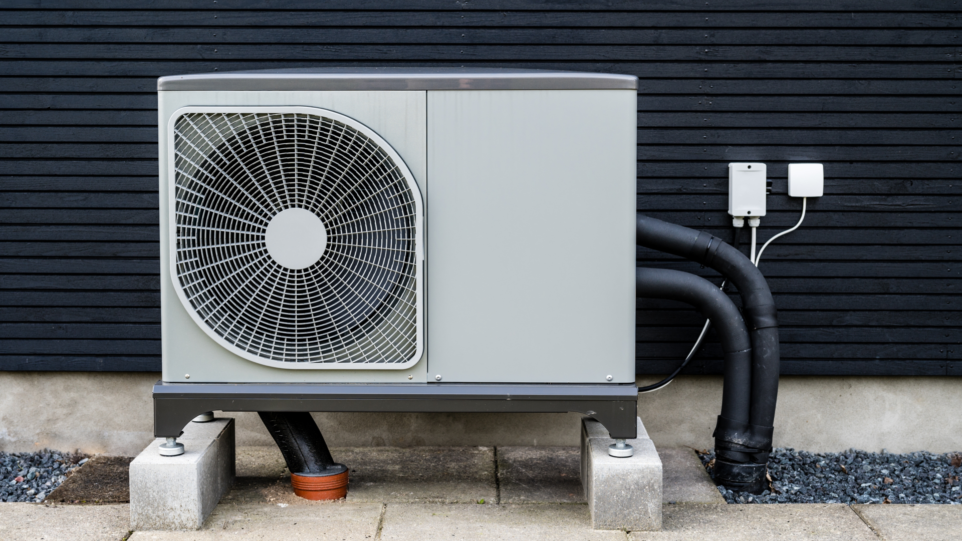 Beeld: Kenneth Bagge Jorgensen/Shutterstock.com