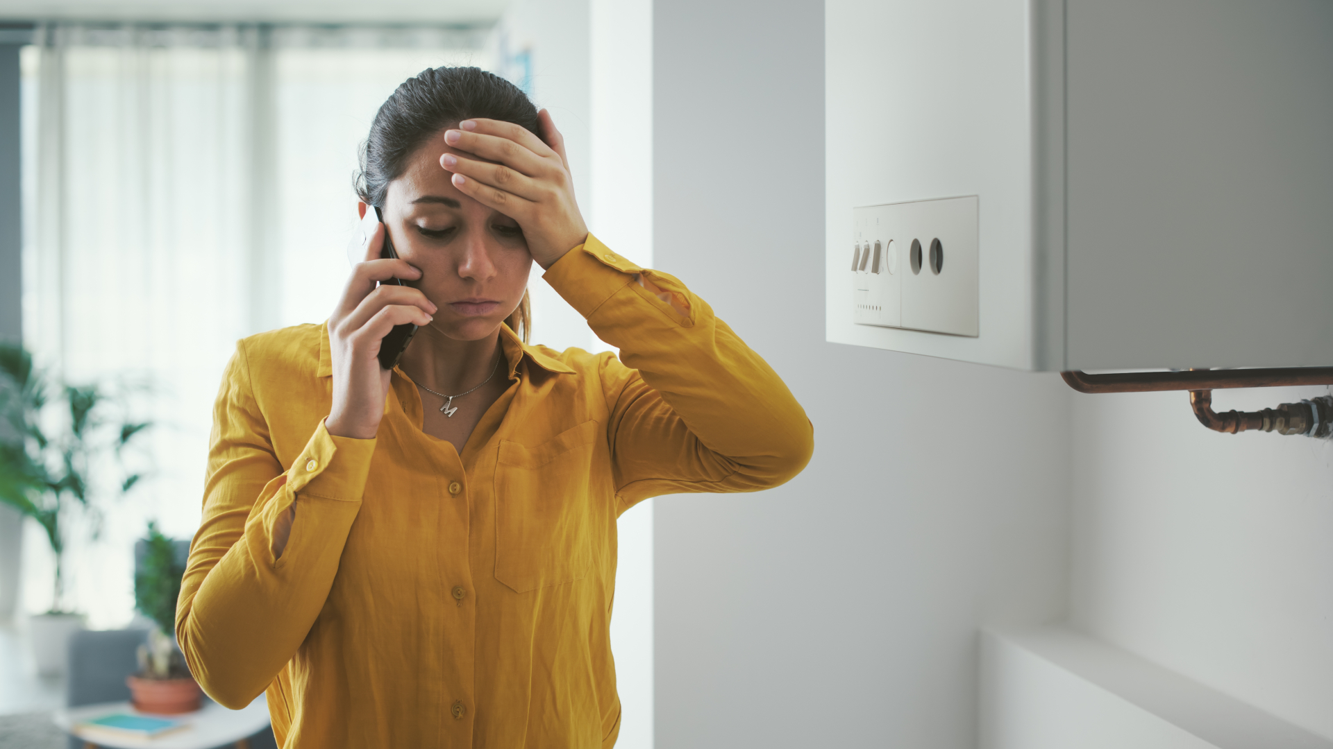 Beeld: Stock-Asso/Shutterstock.com