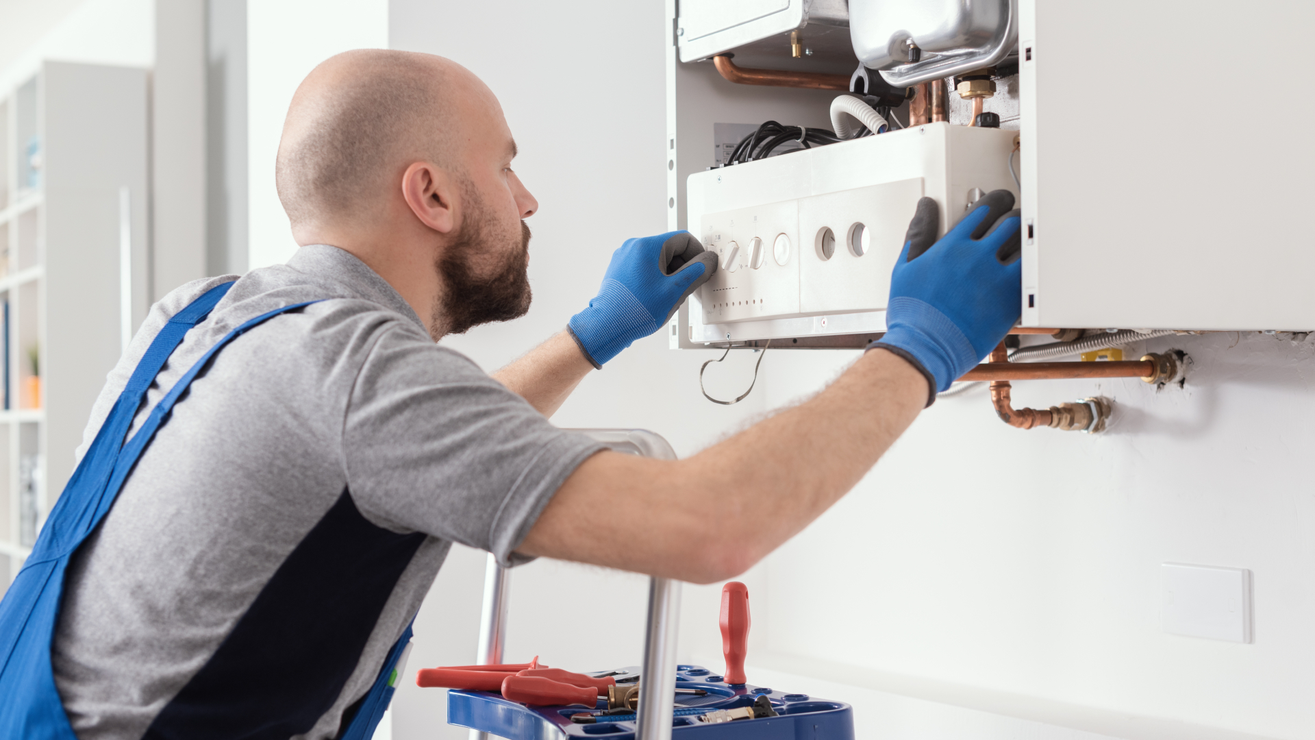 Beeld: Stock-Asso/Shutterstock.com