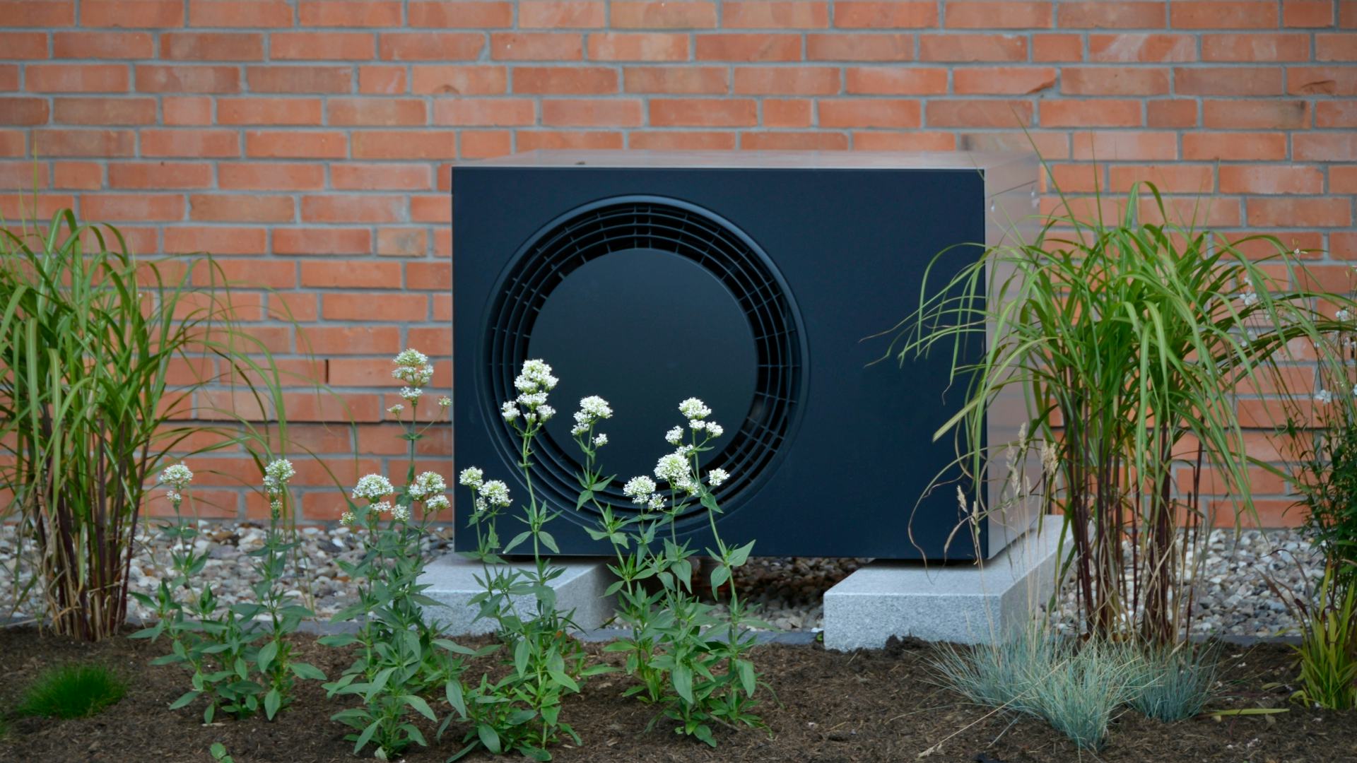 Beeld: Gordine N/Shutterstock.com