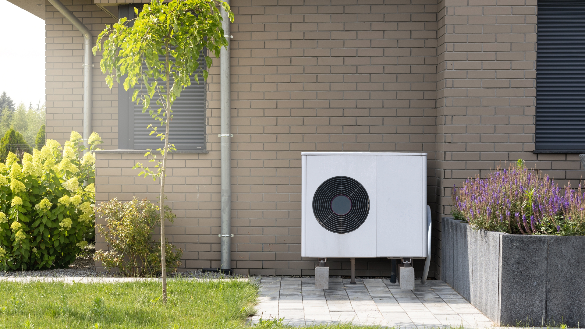 Beeld: Maxshot.pl/Shutterstock.com