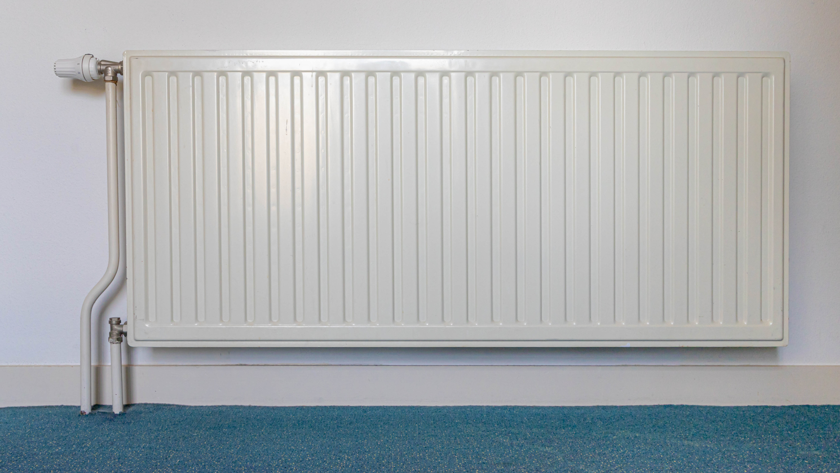 Beeld: Wut_Moppie/Shutterstock.com