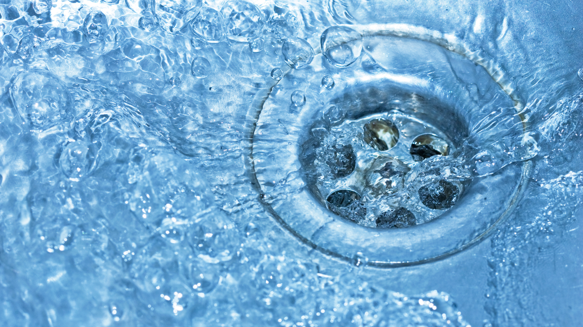 Beeld: Winnond/Shutterstock.com