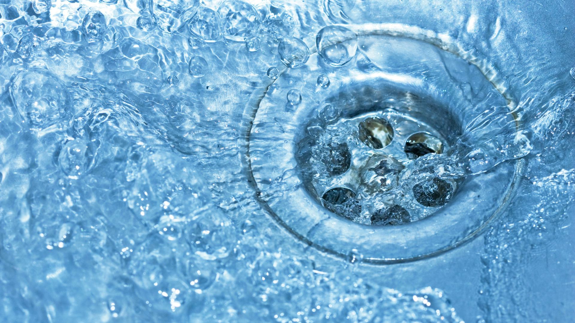 Beeld: Winnond/Shutterstock.com