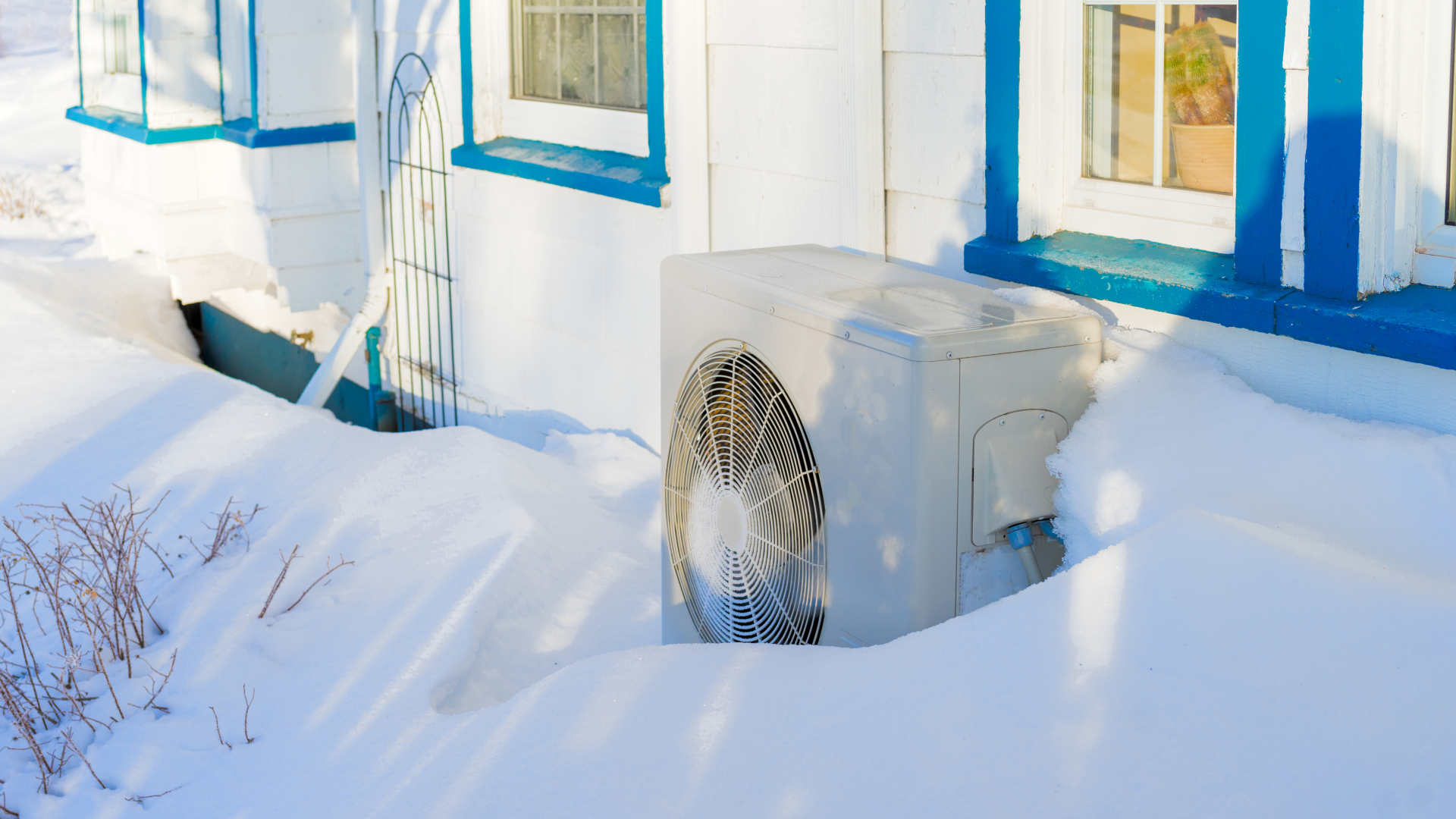 Beeld: One Pony/Shutterstock.com