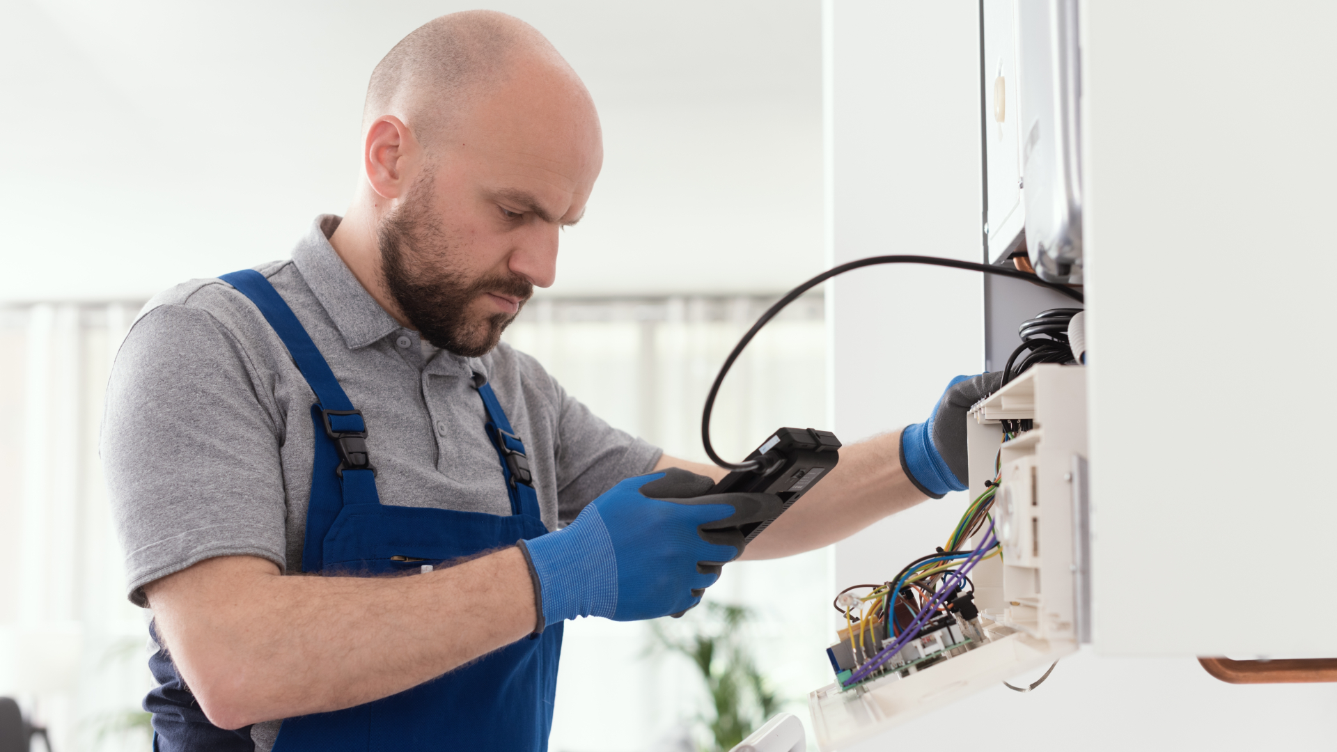 Beeld: Stock-Asso/Shutterstock.com