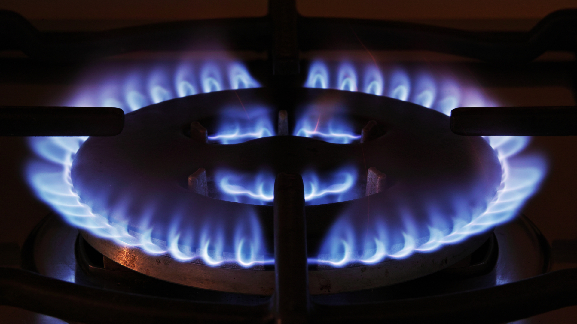 Beeld: Flaviano Fabrizi/Shutterstock