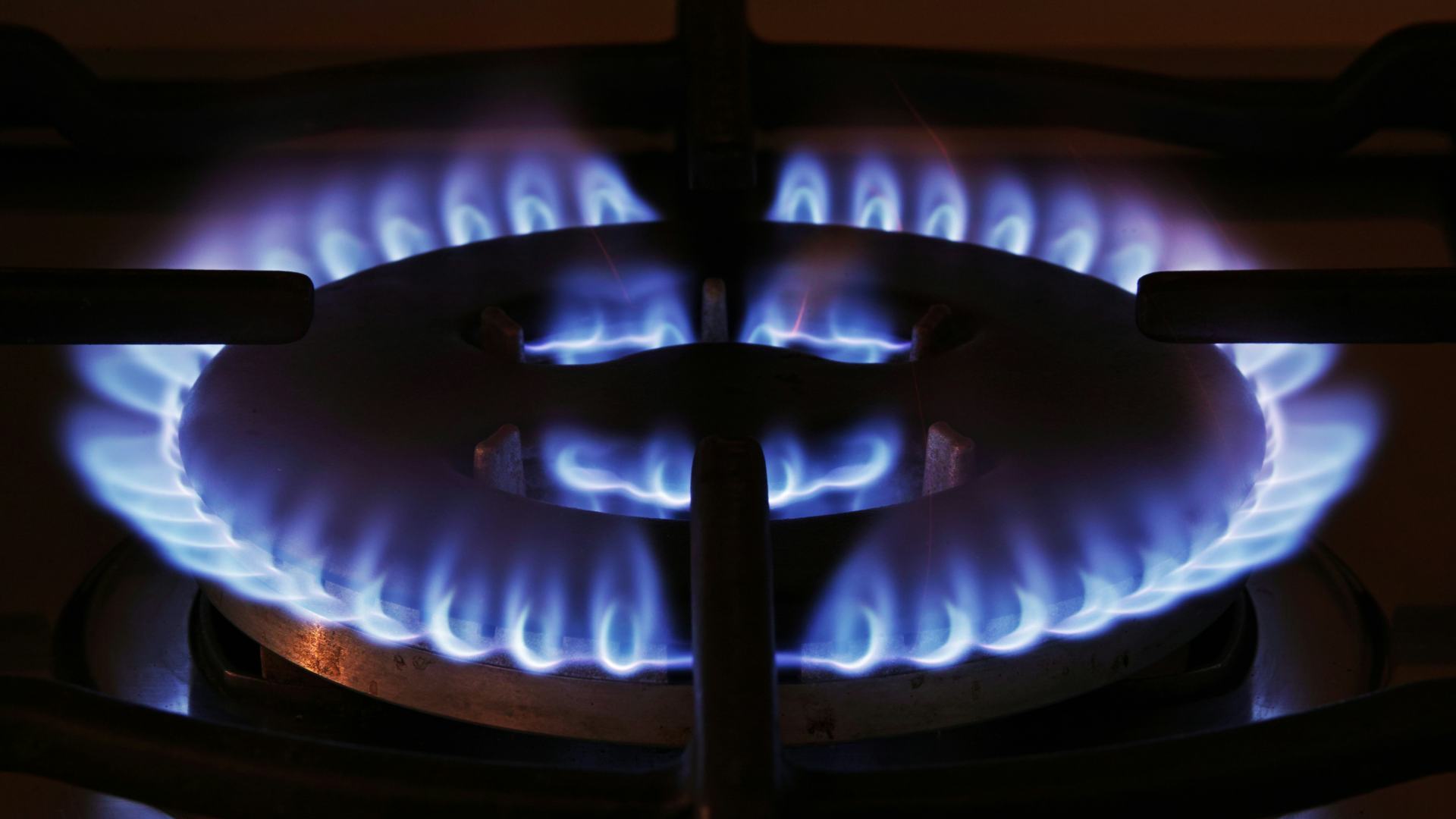 Beeld: Flaviano Fabrizi/Shutterstock