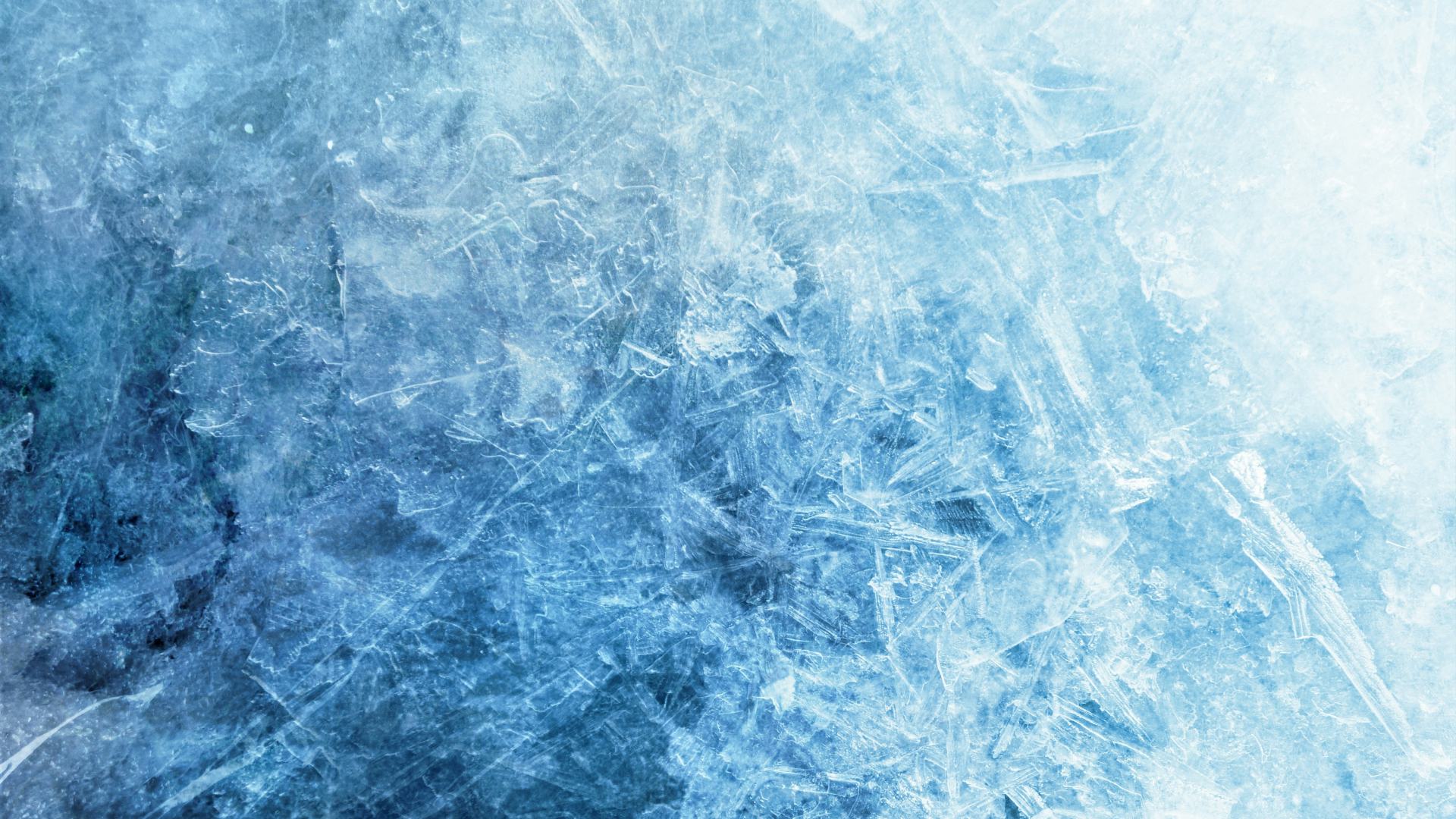 Beeld: Oley_Lynx/Shutterstock