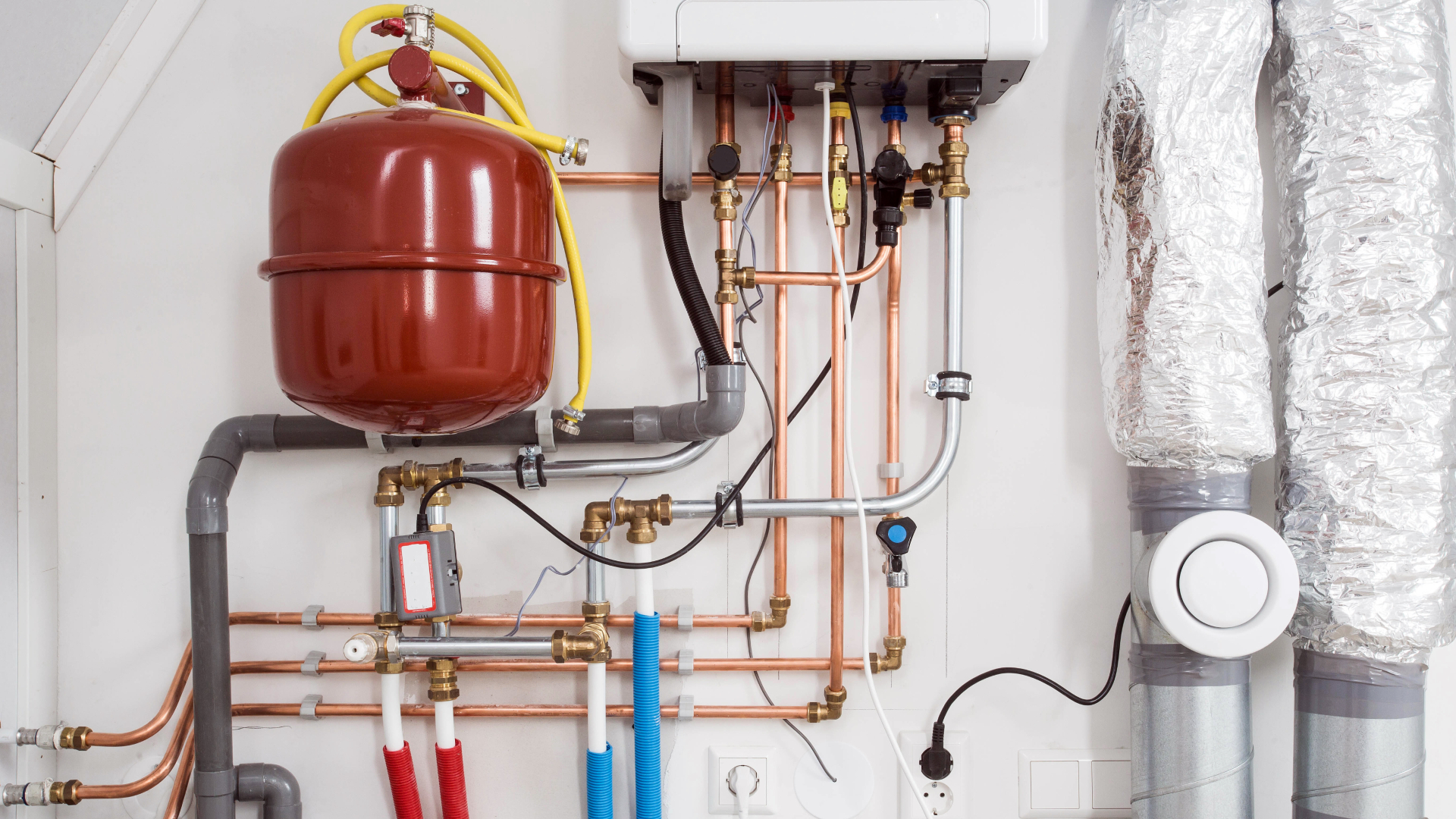 Beeld: A-photography/Shutterstock