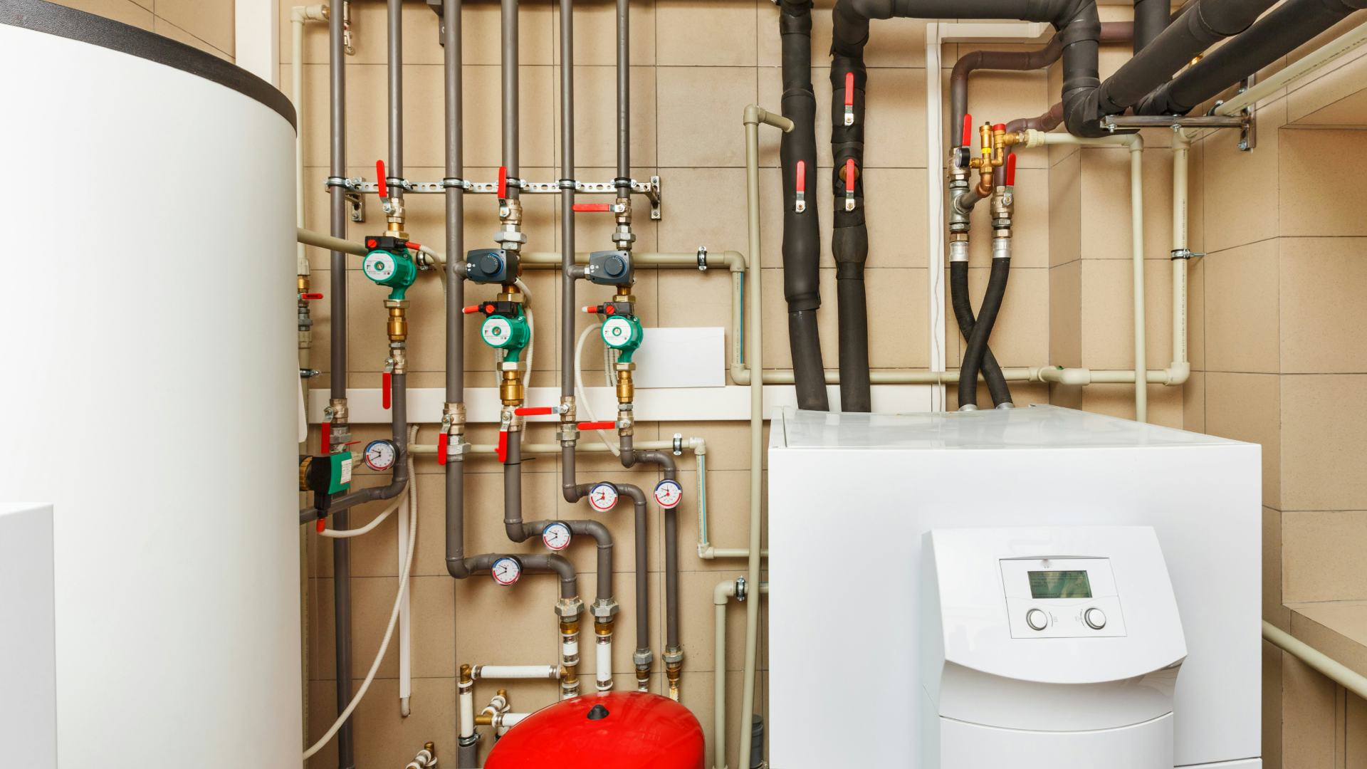 Beeld: Alexxxey/Shutterstock.com