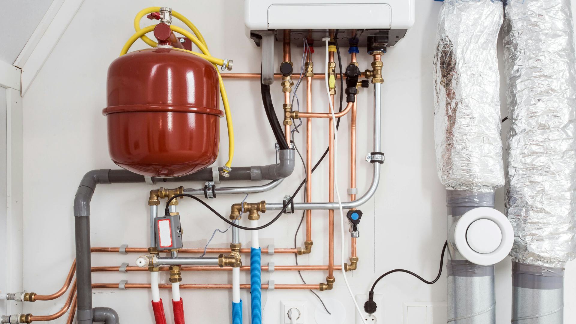 Beeld: A-photopraphyy/Shutterstock.com