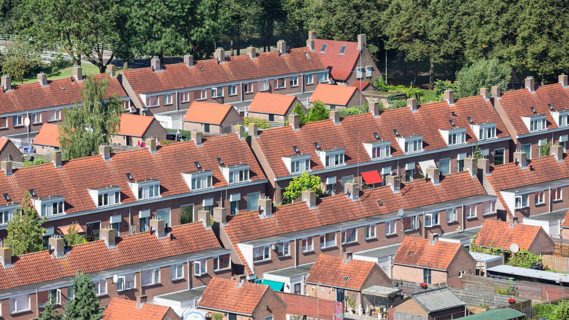 Beeld: T.W. van Urk/Shutterstock