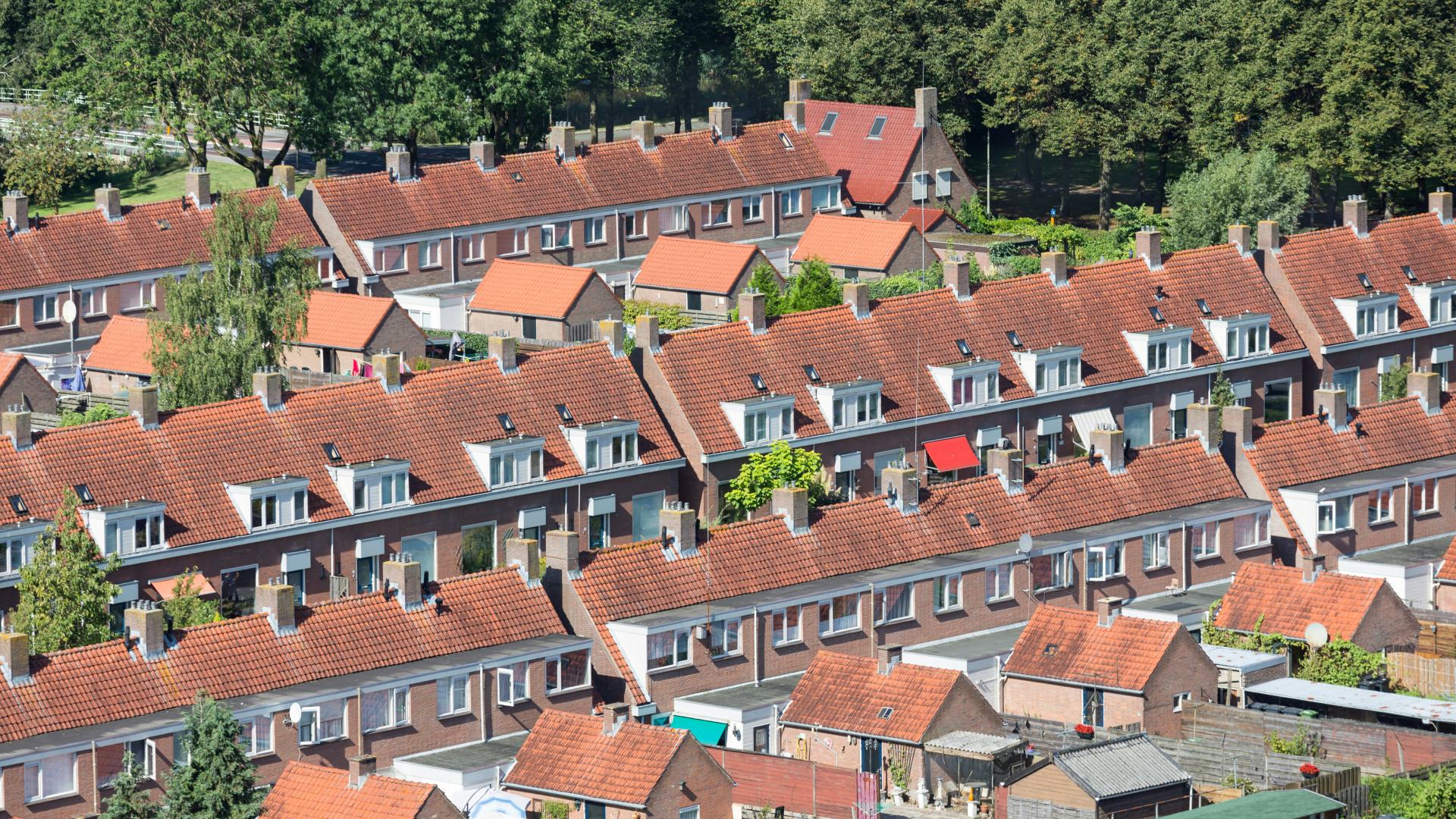 Beeld: T.W. van Urk/Shutterstock