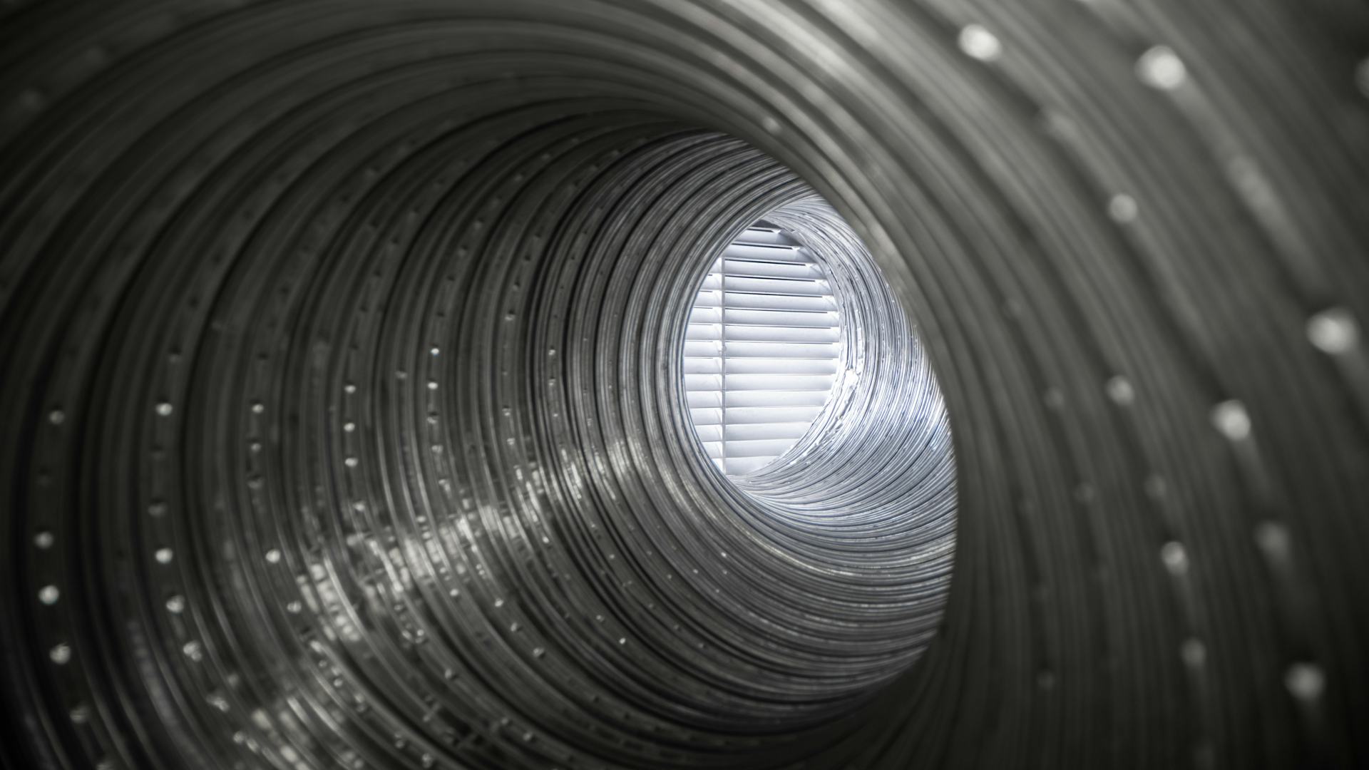 Beeld: Ronstik/Shutterstock.com