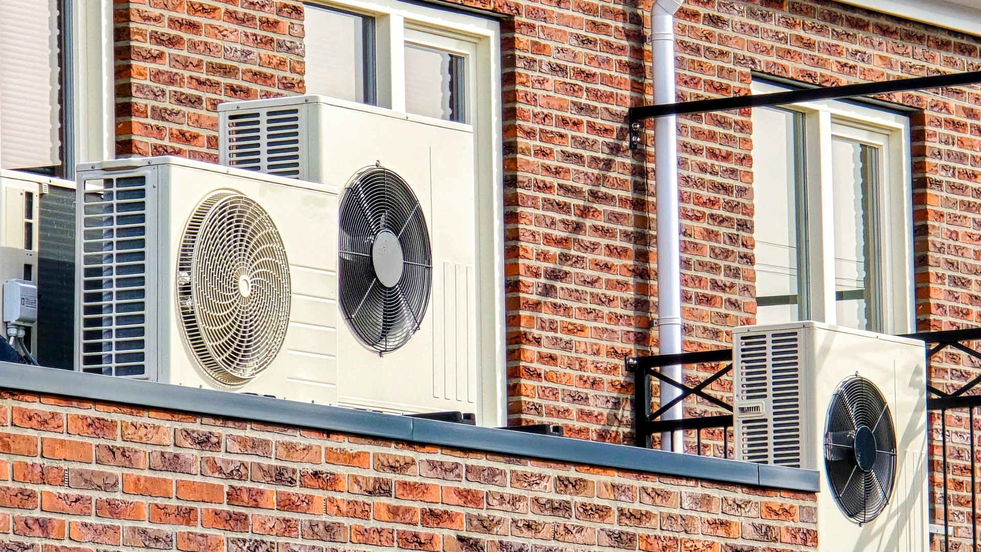 Beeld: Fokke Baarssen/Shutterstock.com