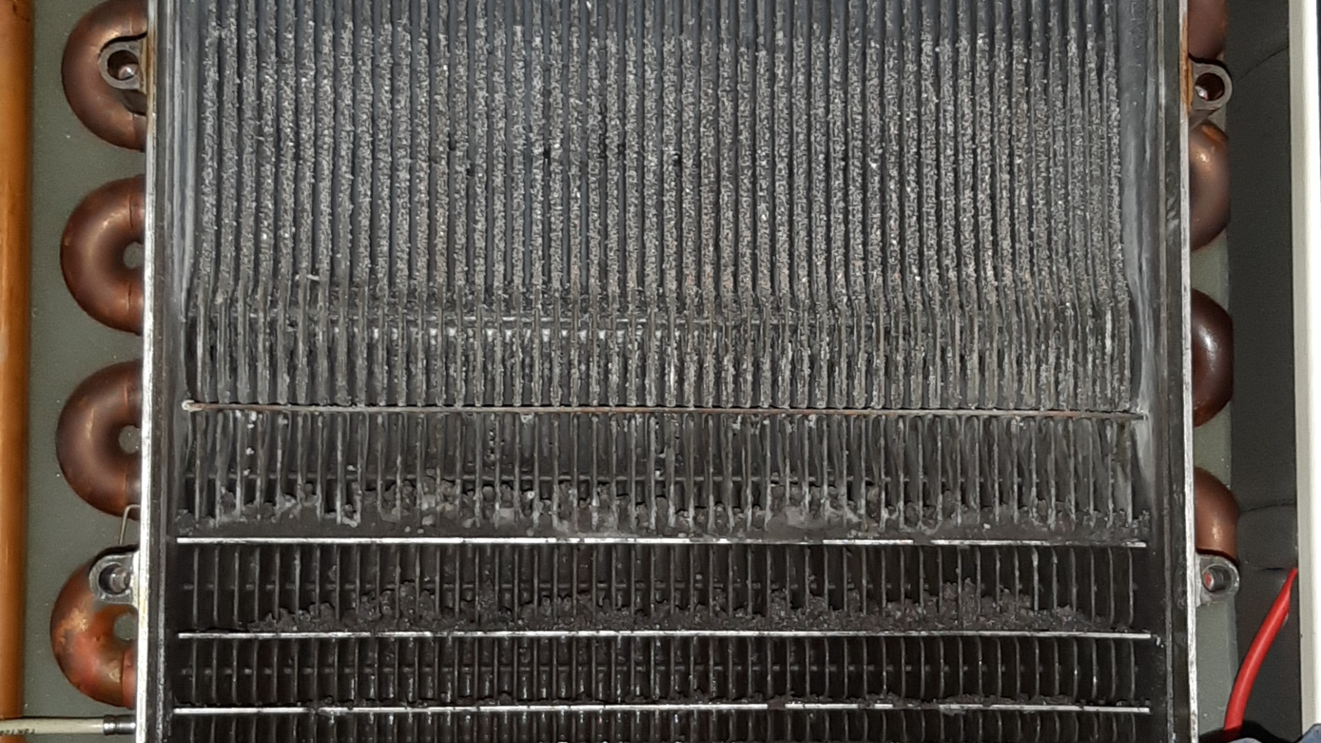 Foto: Margo van Voskuilen