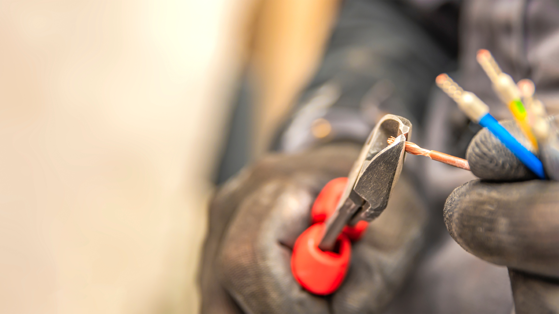 Beeld: Sersoll/Shutterstock.com