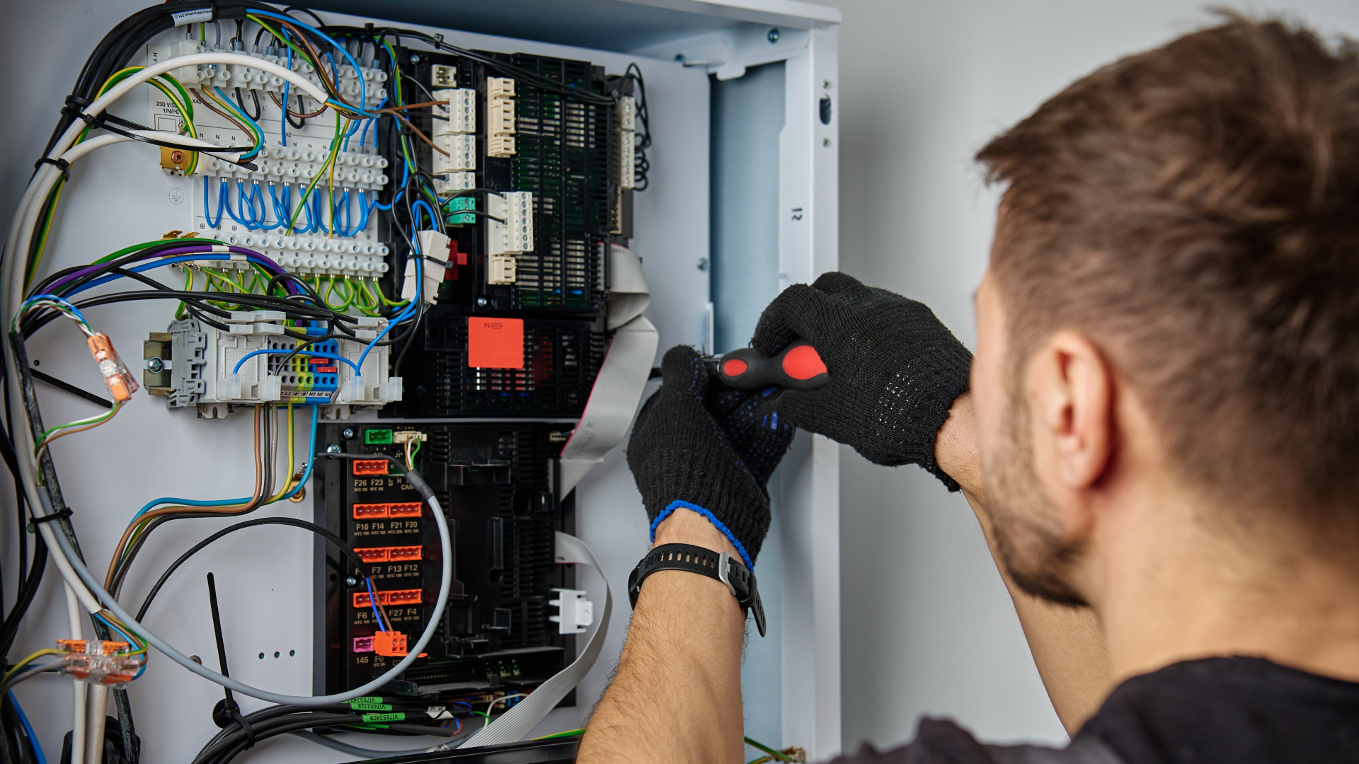 Beeld: Lazy Bear/Shutterstock.com