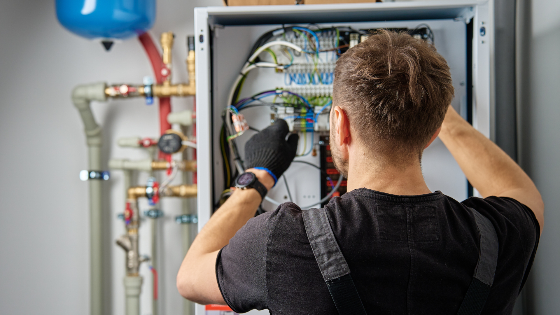 Beeld: Lazy Bear/Shutterstock.com