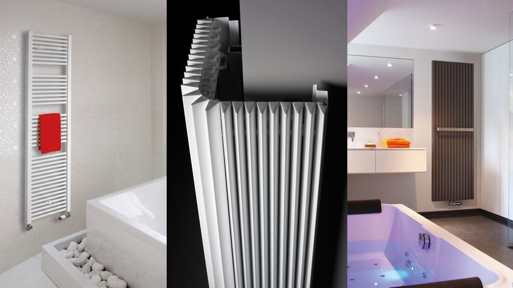 Jaga Sani, Iguana en Tetra - beeld: Jaga