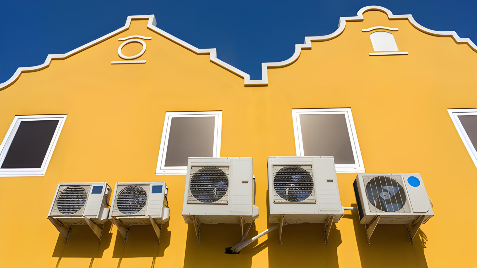 Beeld: Ben Schonewille/Shutterstock.com