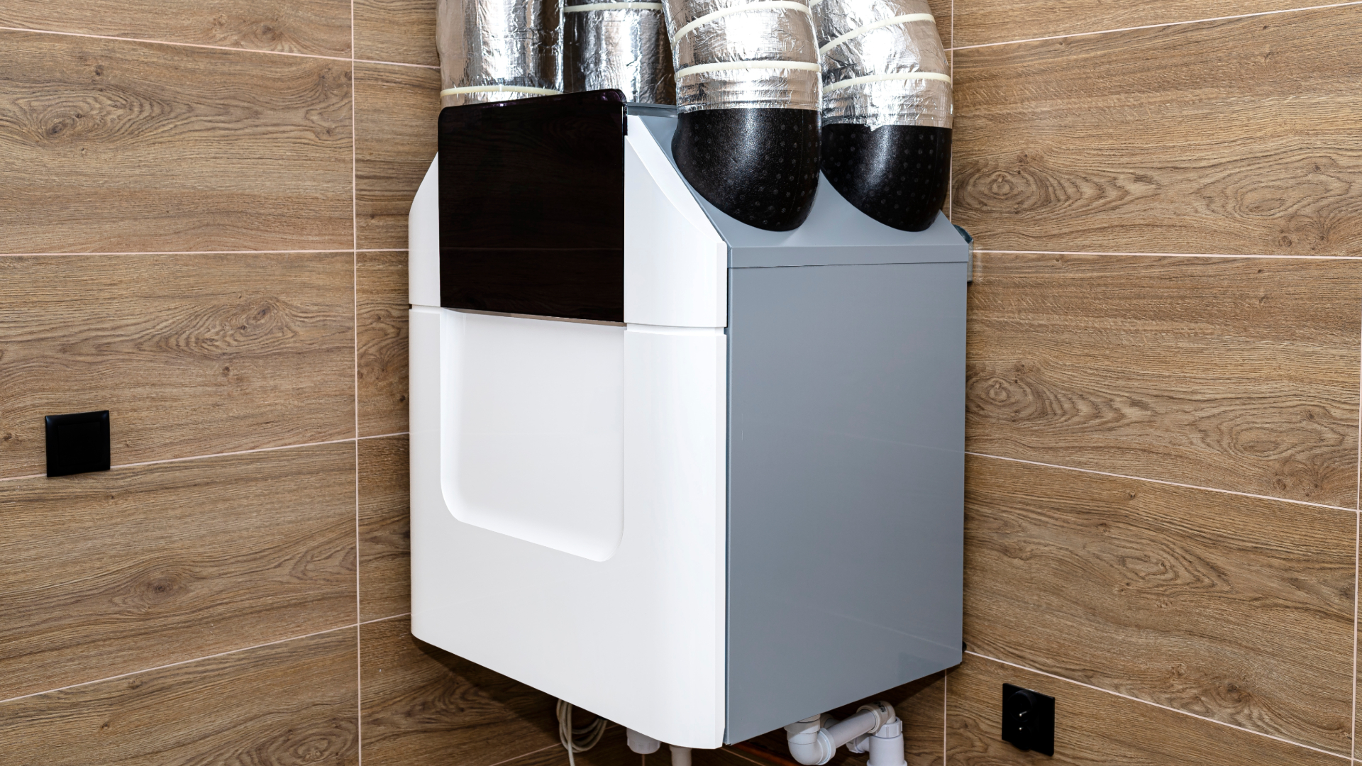 Beeld: Kinek00/Shutterstock.com