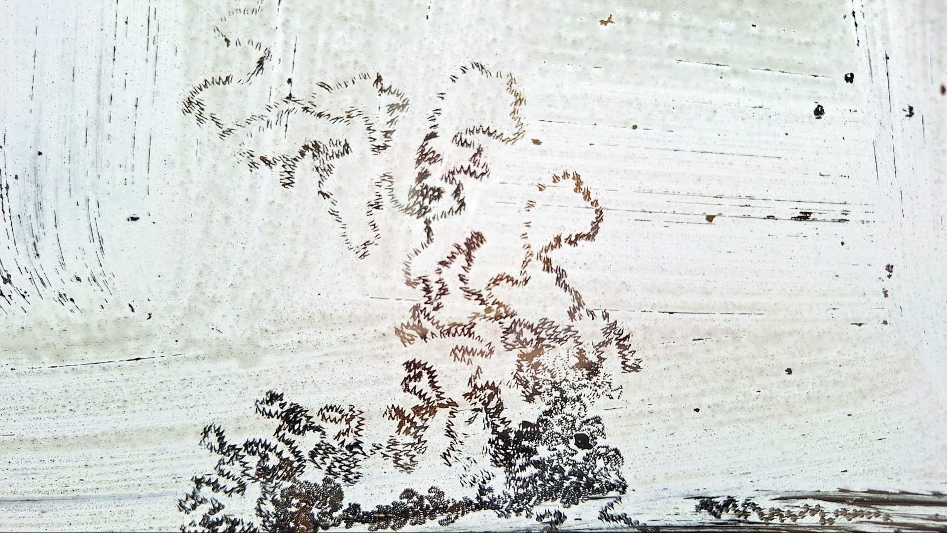 Landkaart? Kunst? Bij ons staat op de keukendeur... de voetafdrukken van een insect in verkoelende witkalk - foto: Margo van Voskuilen