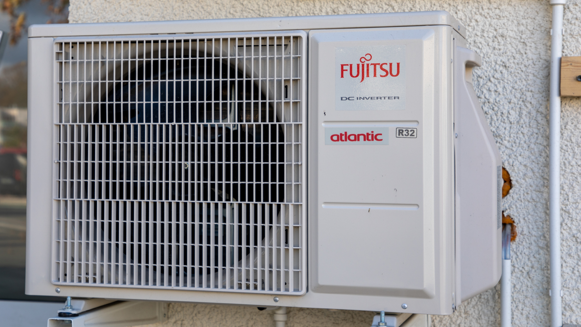 Beeld: sylv1rob1/Shutterstock.com