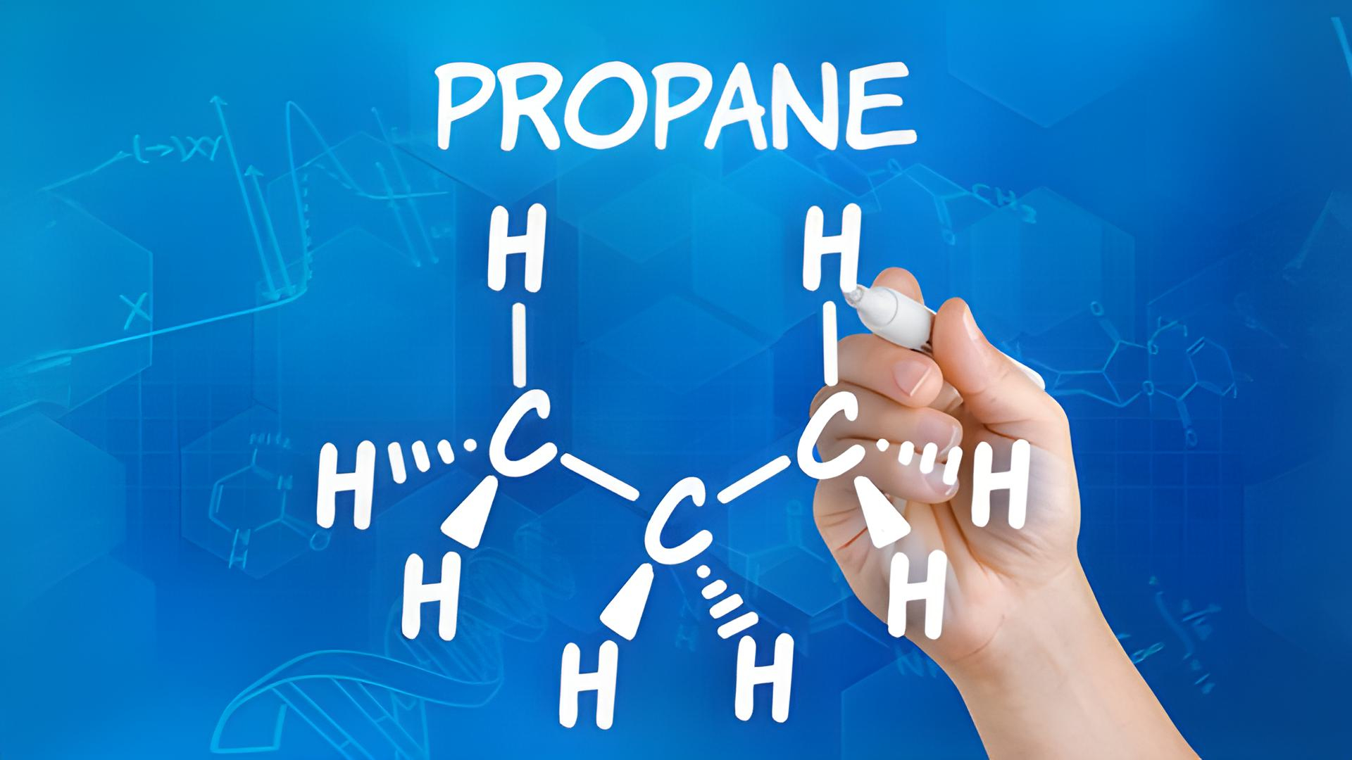 Beeld: Zerbor/Shutterstock.com