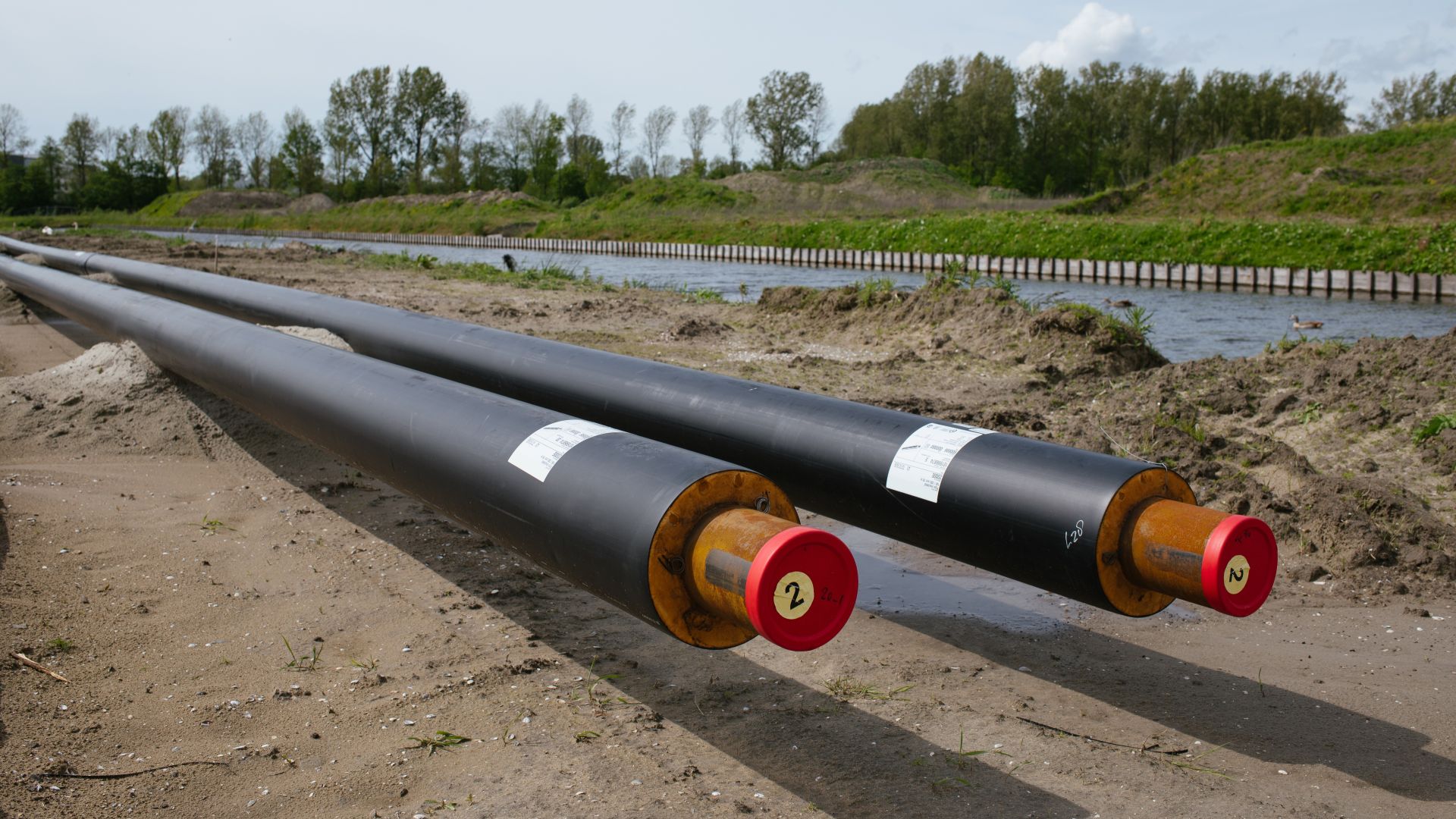 Beeld: Stegosaurus/Shutterstock.com 