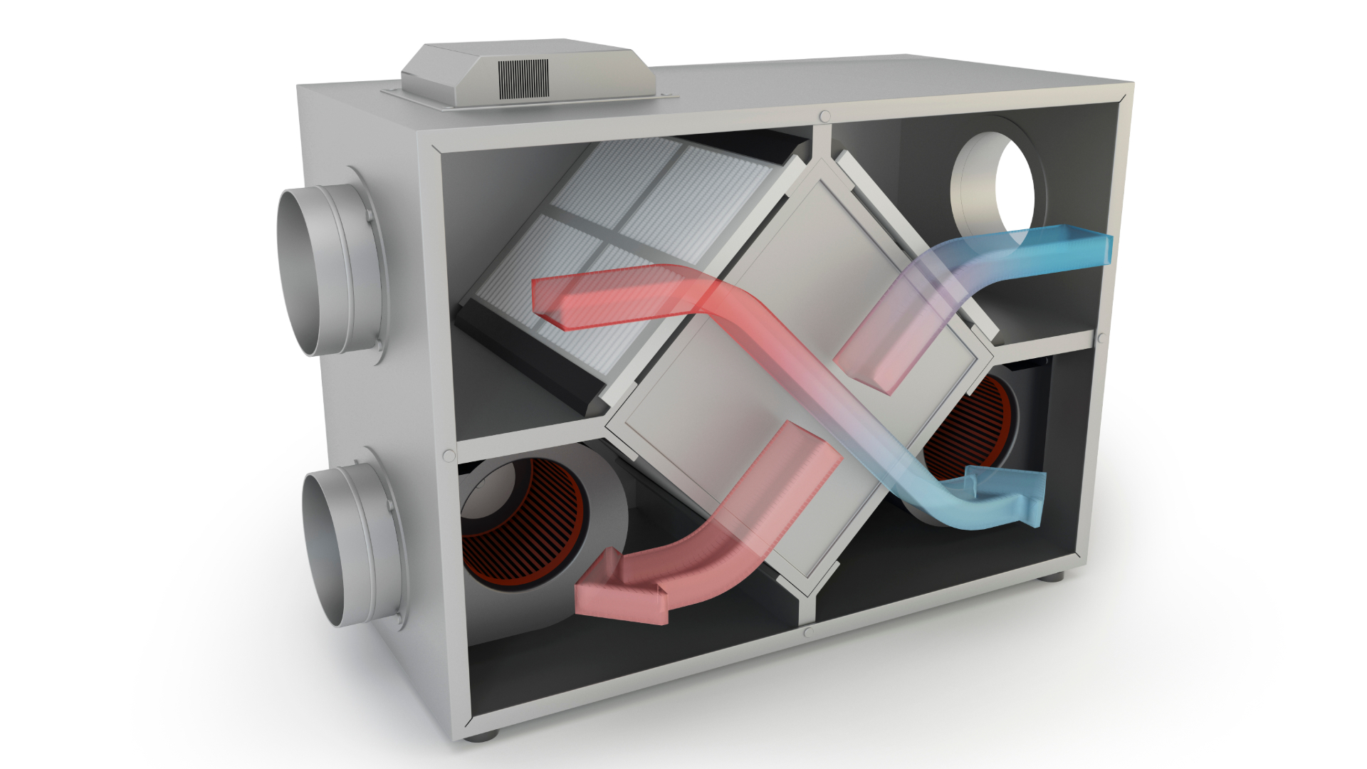 Beeld: Studio Harmony/Shutterstock