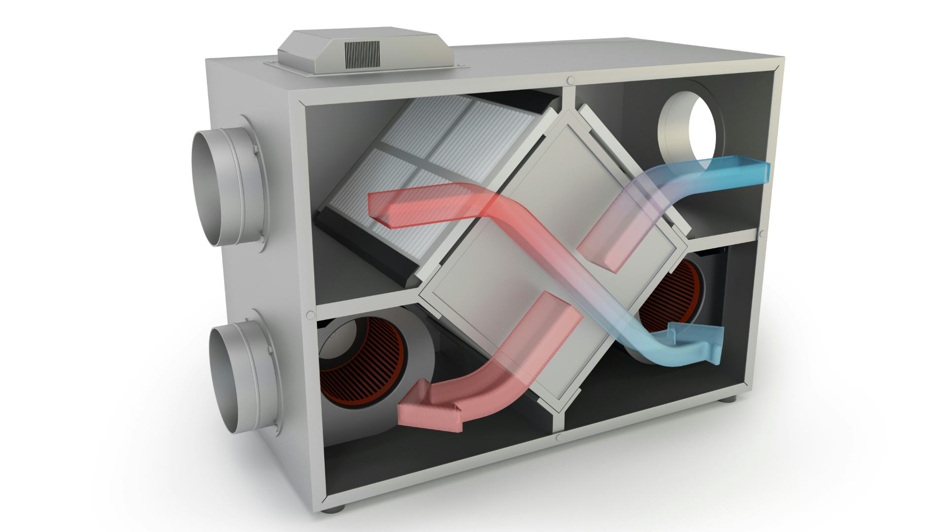 Beeld: Studio Harmony/Shutterstock