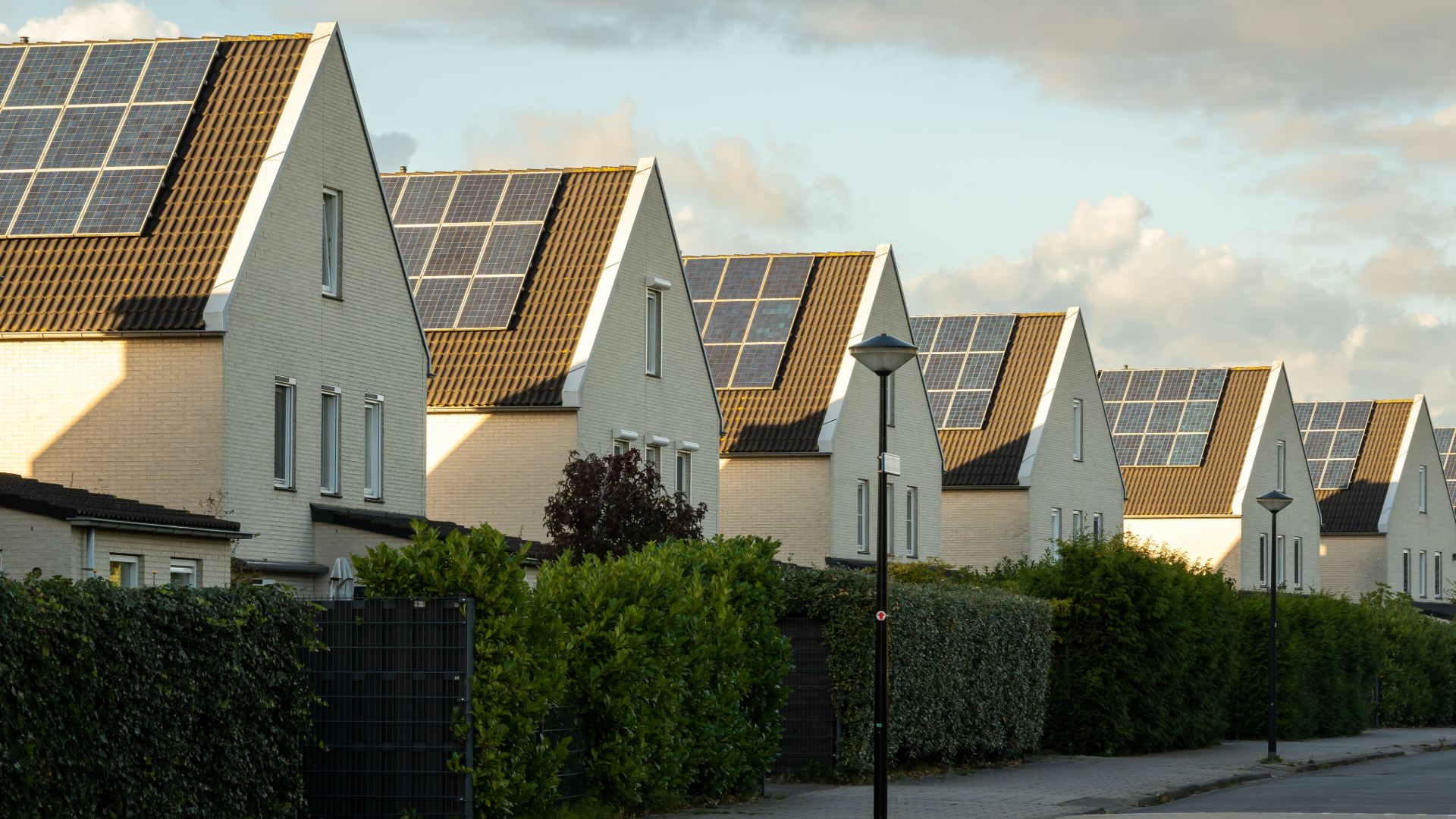 Beeld: Milos Ruzicka/Shutterstock.com