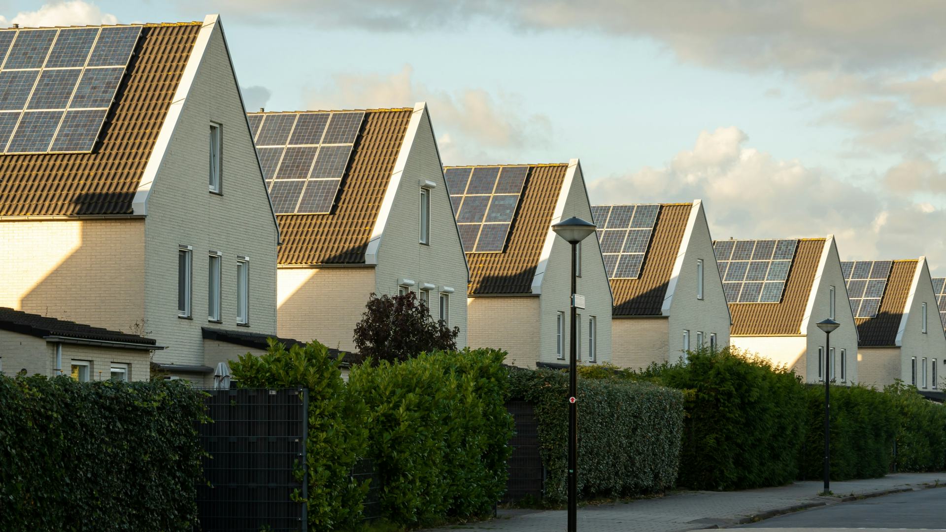 Beeld: Milos Ruzicka/Shutterstock.com