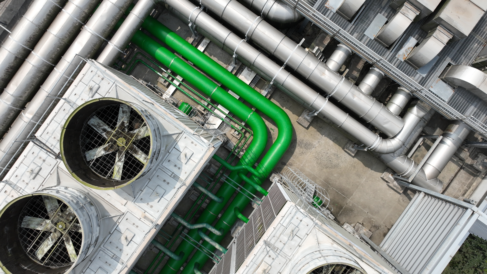 Beeld: eric1207cvb/Shutterstock.com