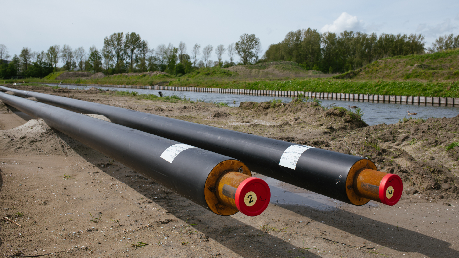 Beeld: Stegosaurus/Shutterstock.com