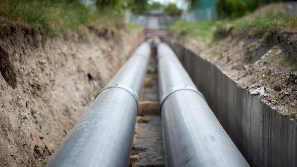 Shutterstock, Martin Mecnarowski.