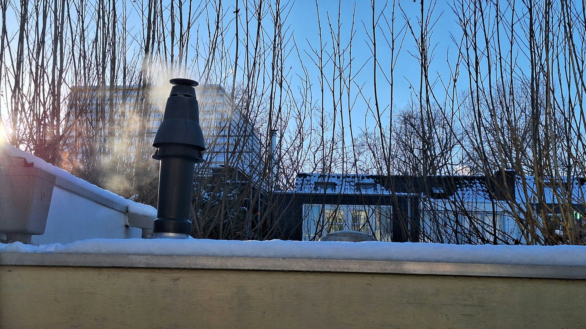 Foto: Margo van Voskuilen