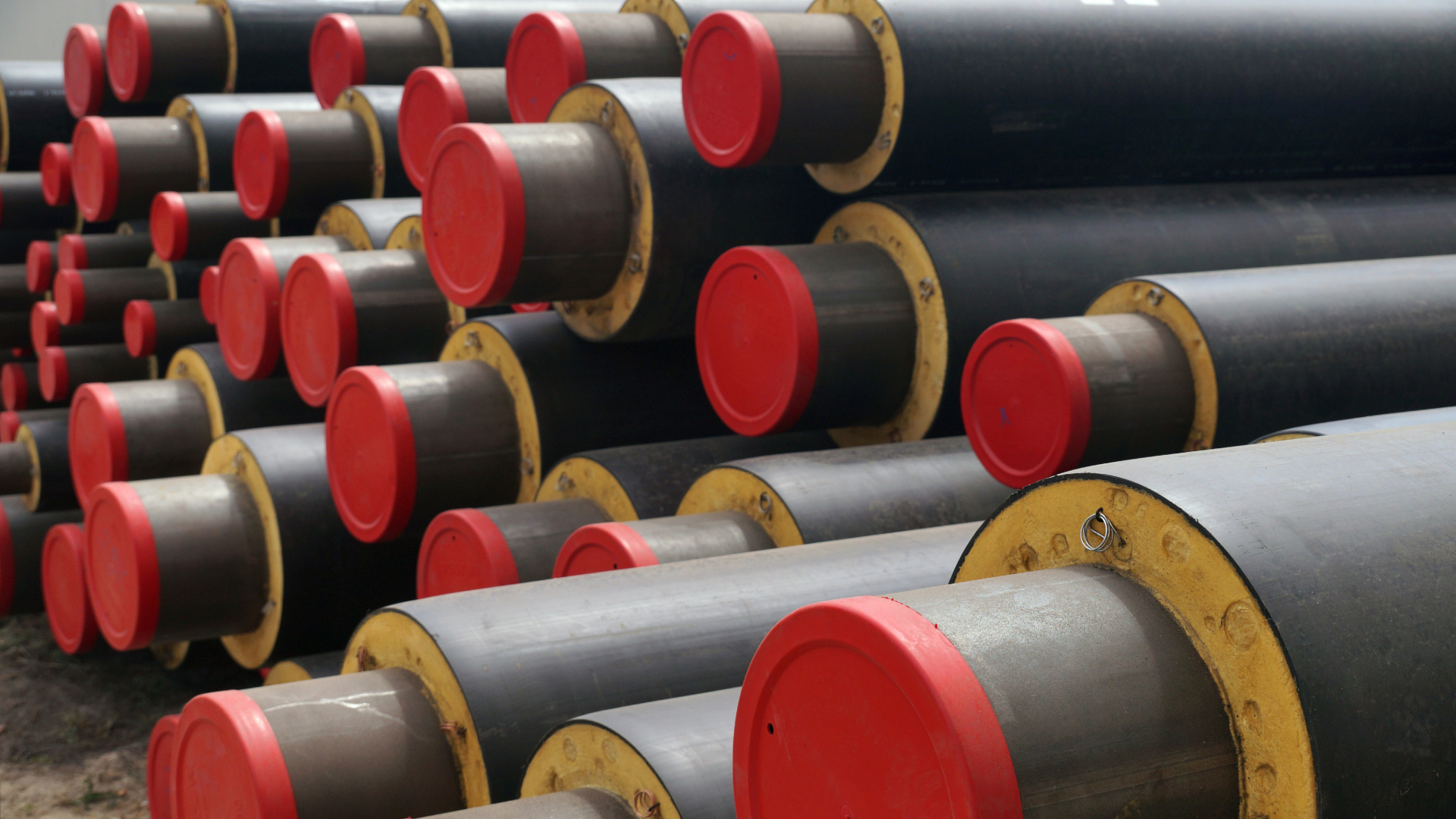 Beeld ter illustratie - Vladdon/Shutterstock.com