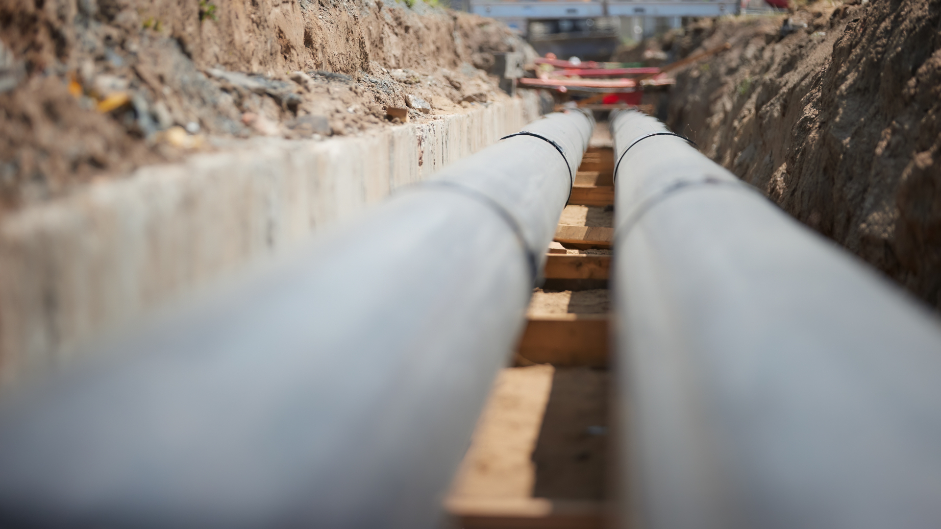 Beeld ter illustratie - Martin Mecnarowski/Shutterstock.com