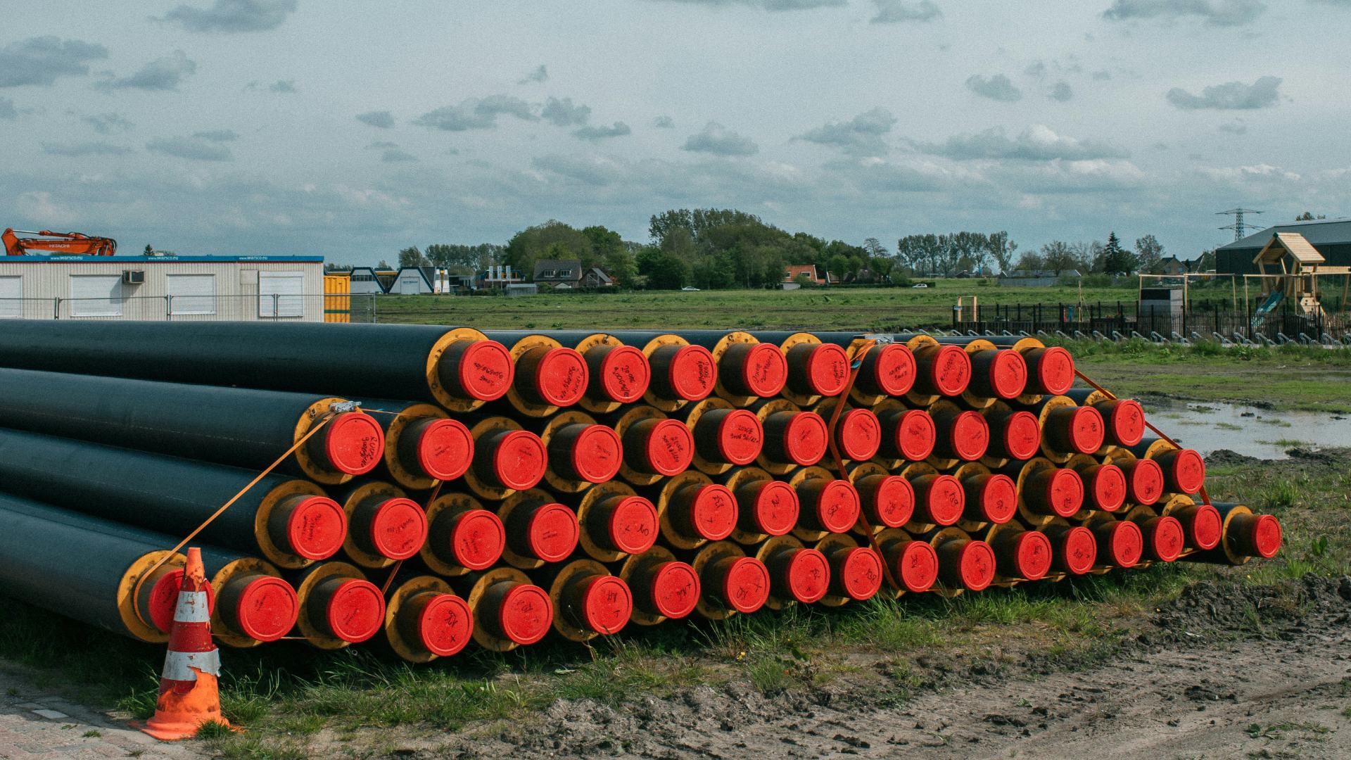 Afbeelding ter illustratie, foto: Stegosaurus/Shutterstock.com