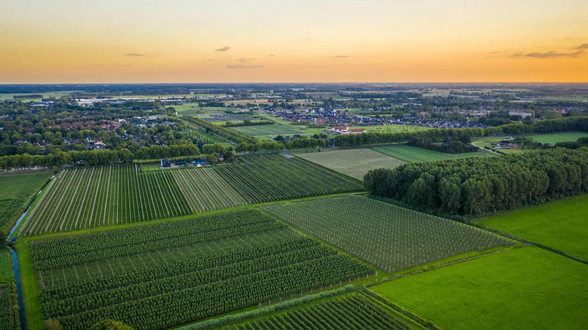 Beeld: Rob Maille/Shutterstock.com